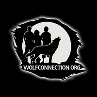 Spring of Evolution, Inc. 
 DBA Wolf Connection 